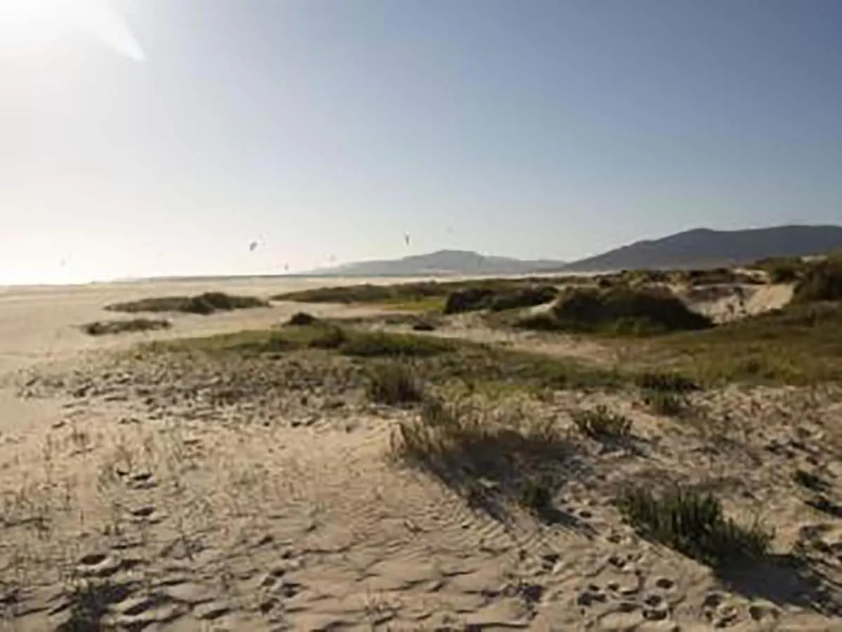 Apartamento Tarifa céntrico y cerca de la playa